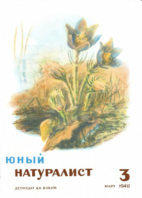 Юный натуралист 1940 №03