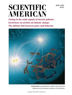 Scientific American 1993 №06