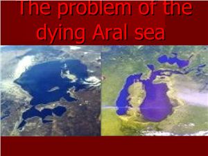 Ecological problems of Aral