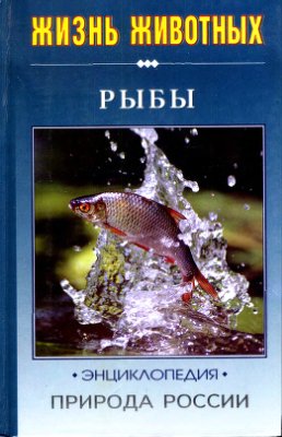 Васильева Е.Д. Природа России: жизнь животных. Рыбы