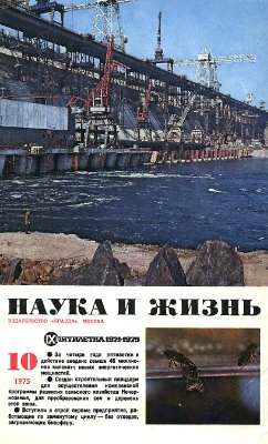 Наука и жизнь 1975 №10