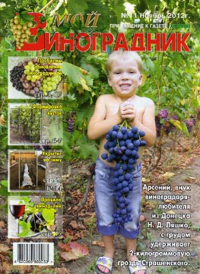 Мой виноградник 2012 №11