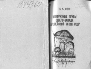 Шубин В.И. Микоризные грибы Северо-Запада европейской части СССР. (Экологическая характеристика)