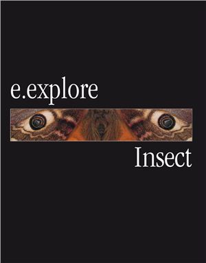 Burnie D.E.Explore: Insect