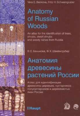 Бенькова В.Е., Швейнгрубер Ф.Х. Анатомия древесины растений России