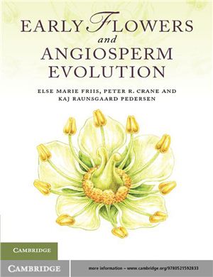 Friis E.M., Crane P.R., Pedersen K.R. Early flowers and angiosperm evolution