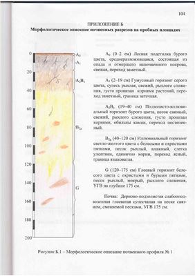 Селекционная оценка насаждений пихты белой в ГПУ НП Беловежская пуща