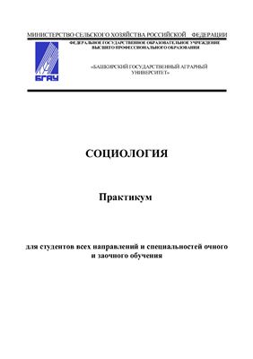 Игебаева Ф.А. (сост.) Практикум по социологии