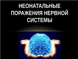 Шакирова М.Р Презентация. Неонатальные поражения ЦНС. Врожденные аномалии