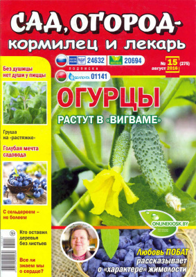 Сад, огород - кормилец и лекарь 2016 №15
