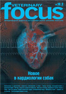 Veterinary Focus 2009 №03