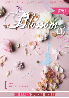 Blossom Zine 2016 №12 spring 2016