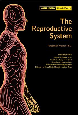 Krohmer R.W. The Reproductive System