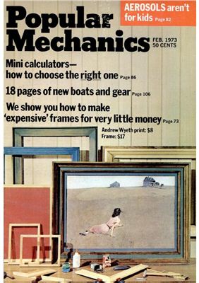 Popular Mechanics 1973 №02