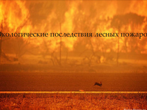 Экологические последствия лесных пожаров