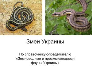 Змеи Украины