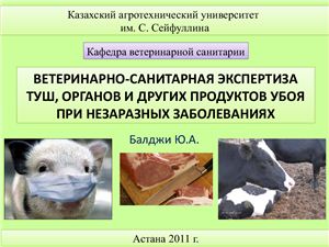 Презентация - Ветеринарно-санитарная экспертиза туш, органов и других продуктов убоя при незаразных заболеваниях