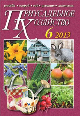 Приусадебное хозяйство 2013 №06