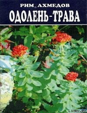 Ахмедов Рим Билалович. Одолень трава