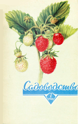 Садоводство 1960 №07