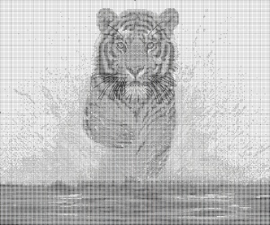 Тигры, Леопарды, Львы и т.д