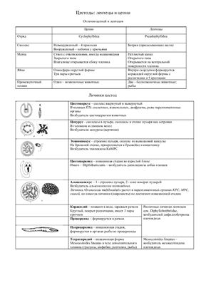 Шпаргалка по паразитологии - Таблица - нематоды, цестоды, трематоды