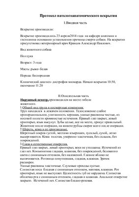 Протокол патологоанатомического вскрытия человека образец