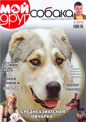 Мой друг собака 2012 №02