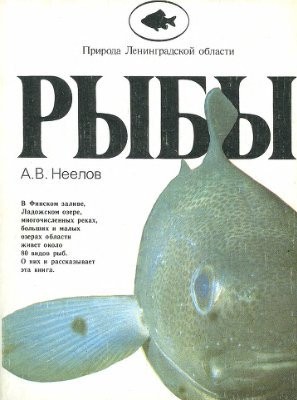 Неелов А.В. Рыбы