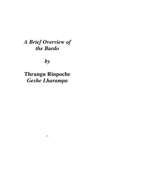 Thrangu Rinpoche Geshe Lharampa. A Brief Overview of the Bardo