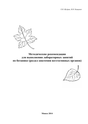 Жудрик Е.В., Кавцевич В.Н. Методические рекомендации для выполнения лабораторных занятий по ботанике (раздел анатомия вегетативных органов)