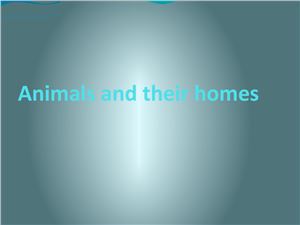 Животные и места их обитания (Animals and their homes)