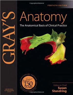 Standring S. Gray's Anatomy