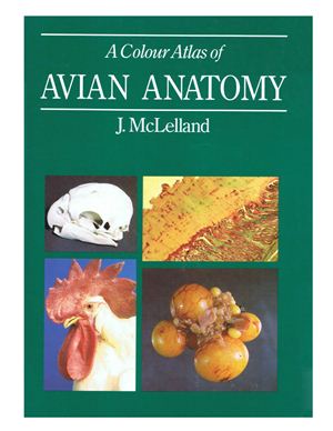 McLelland John. A Colour Atlas of Avian Anatomy