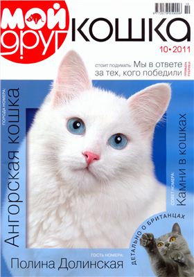 Мой друг кошка 2011 №10. Ангорская кошка