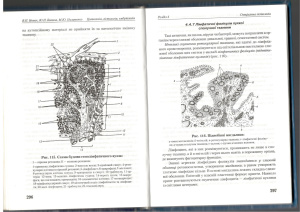 Новак В.П., Бичков Ю.П., Пилипенко М.Ю. Цитологія гістологія ембріологія. Частина 2