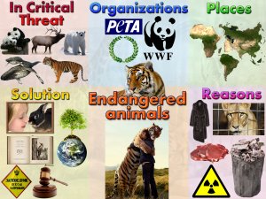 Интеллект-карта Endangered animals