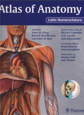Gilroy A.M., MacPherson B.R. et al. Atlas of Anatomy Latin Nomenclature. Part 2