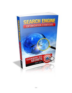 Search Engine Optimization Strategies Part One