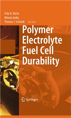B?chi F.N., Inaba M., Schmidt T.J. (eds.) Electrolyte Fuel Cell Durability