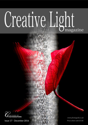 Creative Light 2016 №17