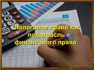 Контрольная работа: Налоговое право РФ
