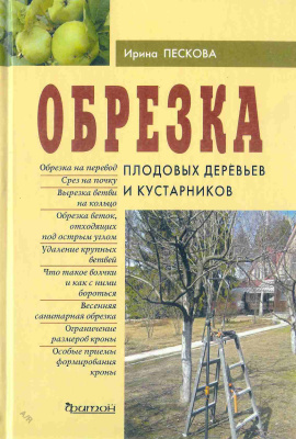 Пескова И.М. Обрезка плодовых деревьев и кустарников