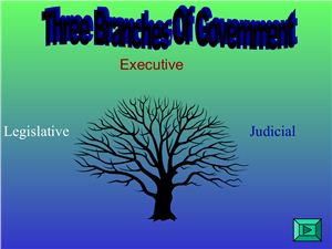 Three Branches of Power in the USA