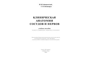 Гайворонский И.В., Ничипорук Г.И. Клиническая анатомия сосудов и нервов