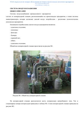 Денисов-Винский Н.Д. Отчёт по результатам экспресс-обследования источника сжатого воздуха цементного предприятия