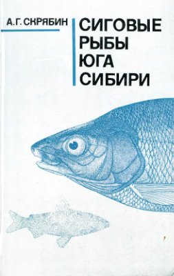 Скрябин А.Г. Сиговые рыбы юга Сибири