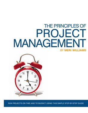 Williams Meri. The Principles of Project Management