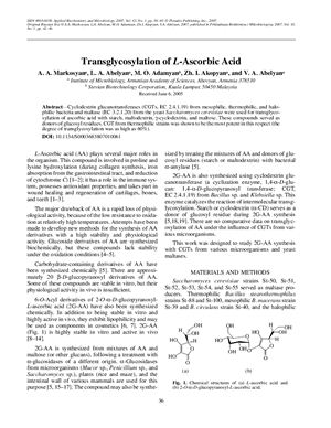 Markosyan A.A., Abelyan L.A., Adamyan M.O., Zаkopyan h.I. Transglycosylation of L - Ascorbic Acid