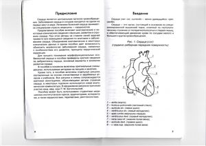 Крылова Н.В. Анатомия сердца (в схемах и рисунках)